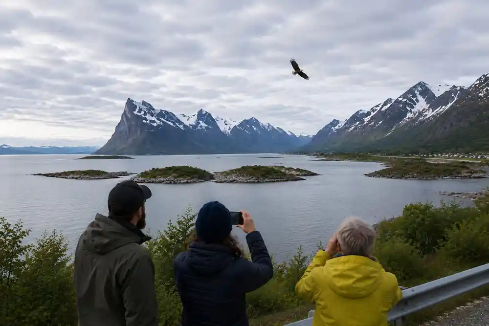 Guests photographing a sea eagle over the fjord
